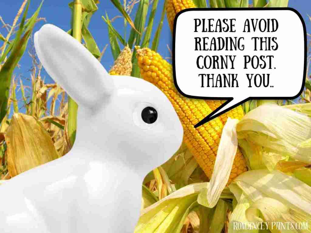 With Help From Some Rabbits, Here’s How Our Forties Have Been, Sexually&nbsp;Speaking.