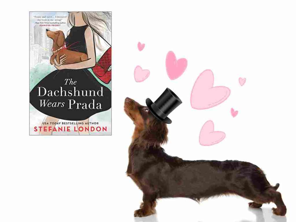 When A Dog’s In The Room—Or Why I’m Totally Enjoying “The Dachshund Wears Prada” by Stefanie&nbsp;London